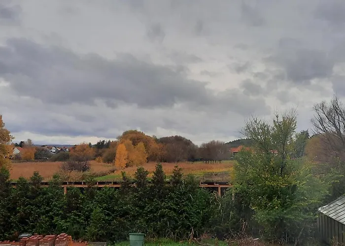 2 Daire Westerhausen